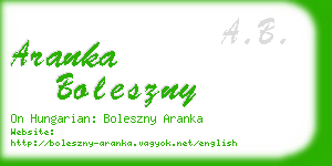 aranka boleszny business card